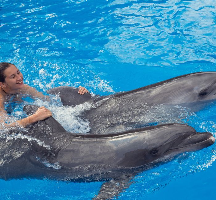 Swim with Dolphins Punta Cana