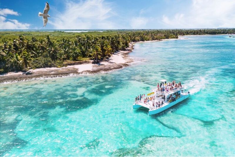 Saona Island Tour from Punta Cana